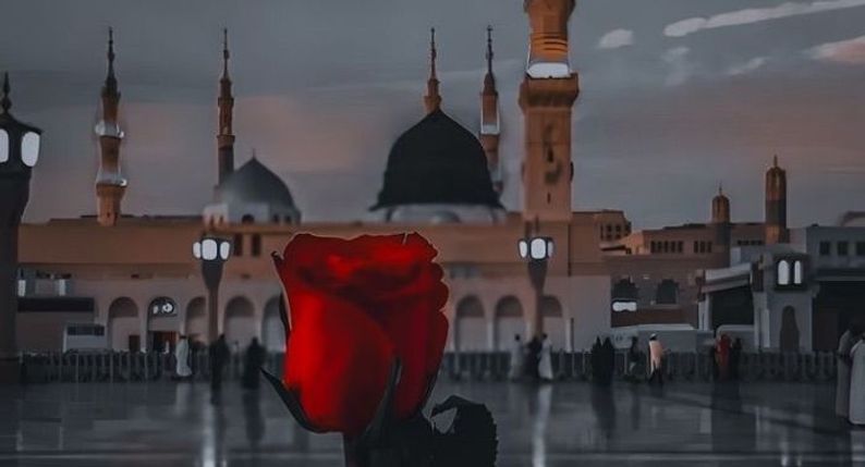 profile background
