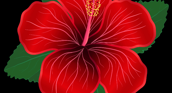profile background